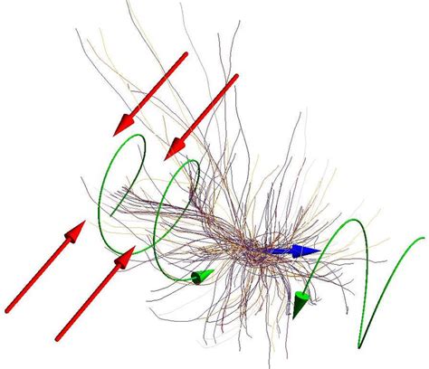 Trajectories Of Tracer Particles In The Outer Region Left Panel And