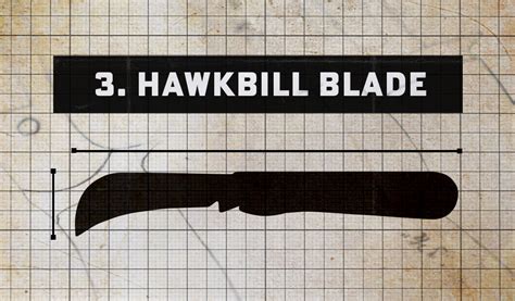 popular knife blade types   explained