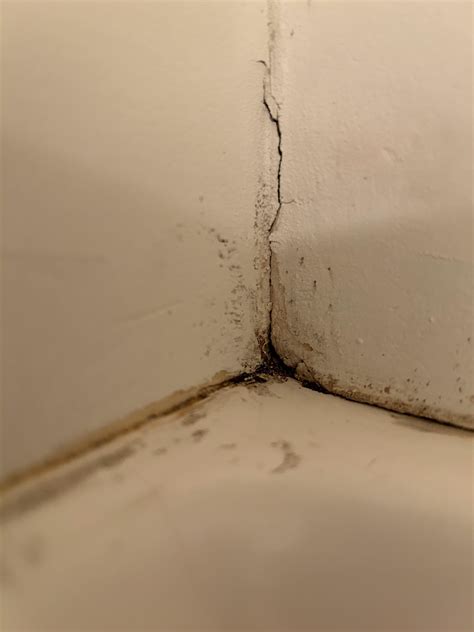 Just finished fighting off ants and I find these piles? Dead ants or