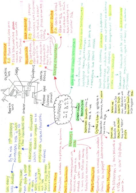 Ocr A Level Biology Year 1 Chapter 2 Basic Components Of Living