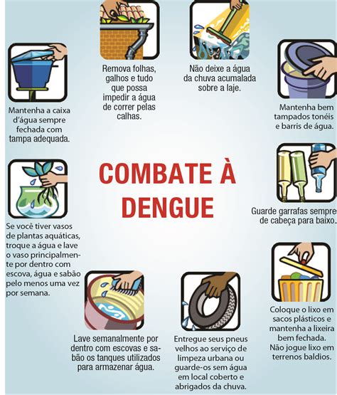 Informes Da Dengue Em Belo Horizonte Como Combater