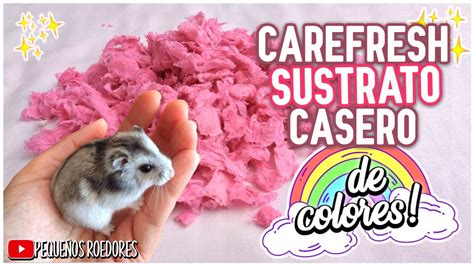 Como Hacer SUSTRATO De PAPEL Para HAMSTER De COLORES YouTube