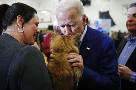 Meet Major Biden, the first White House shelter dog