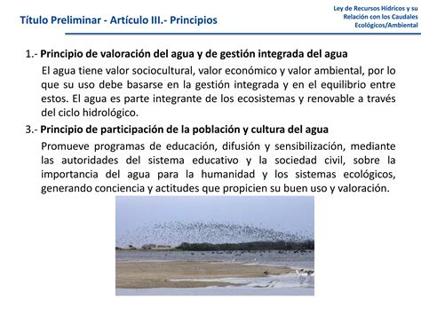 Caudal Ecologico Ley De Recursos H Dricos Ppt