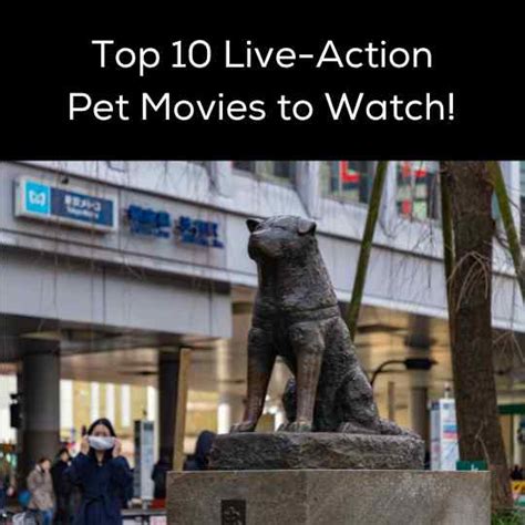 Top 10 Live-Action Pet Movies to Watch! – stepevoli