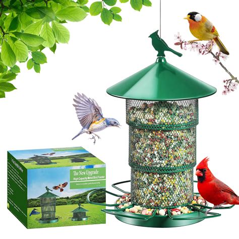 10 Best Large Dove Bird Feeders For Your Garden Hummingbirds Plus