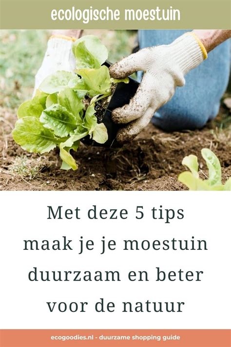 Met Deze 5 Tips Maak Jij Je Moestuin Duurzamer En Beter