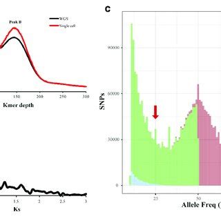 K Mer Distribution Of Four Penaeid Shrimp Genomes The K Mer