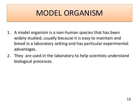 ZEBRAFISH : AS A MODEL ORGANISM.