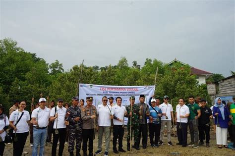 Peringati Hari Maritim Nasional Pis Tanam Mangrove Di Batam