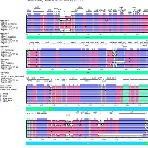 Comparative Analysis Of Chloroplast Genome Sequence Differences Between