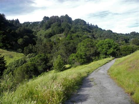 The Closest Hotels To Redwood Regional Park Oakland