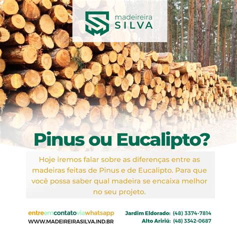 MDF Pinus ou Eucalipto Madeireira Silva Palhoça