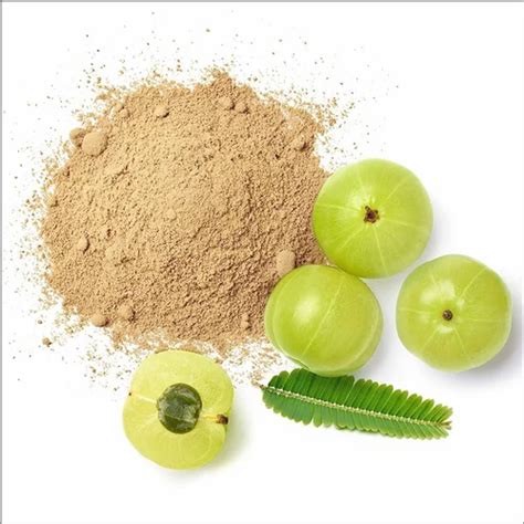 Freeze Dried Gooseberry Amla Powder At Rs 1500 Kg Amla Ayurvedic And Herbal Powder In Ahmedabad