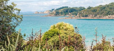 The Best Waiheke Island Summer Activities 2023 Free Cancellation