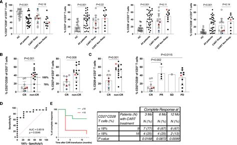 Frontiers The Frequency Of Differentiated Cd3cd27 Cd28 T Cells