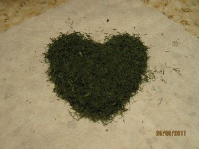 Сушка зелени в микроволновке : Готовим в микроволновке