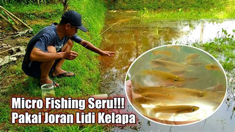 Cara Mancing Ikan Cere Pakai Joran Lidi Mantap Micro Fishing