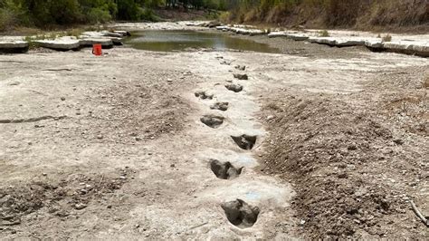 Texas Drought Reveals Amazing Dinosaur Tracks In Riverbed