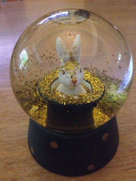 My Bunny Snow Globes Snowglobes Snow