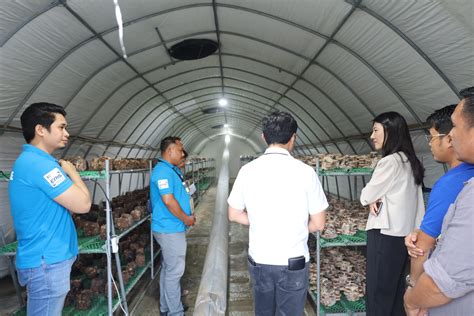 Korean Govt Monitors Progress Of Oda Funded Smart Greenhouse Project