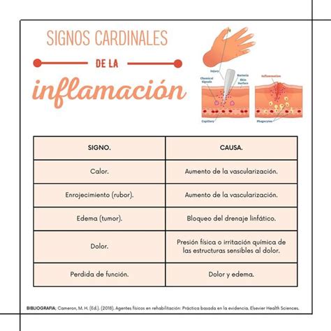 Signos Cardinales De La Inflamacion