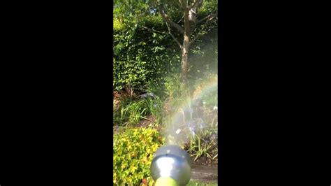 Man Creates Rainbows Using Water From Garden Hose