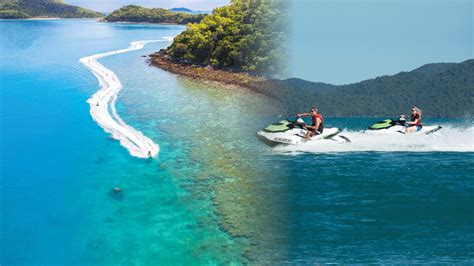 Two Island Safari Is Here Whitsunday Jet Ski Tours