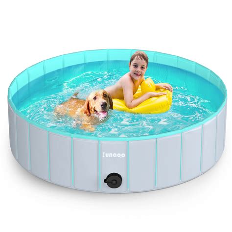 Why Do Dogs Hate Baths But Love Swimming