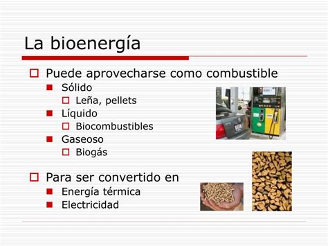 Ppt Bioenerg A Soluci N O Problema Powerpoint Presentation Free