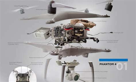 Estas son las partes de un dron por dentro infografía ToDrone