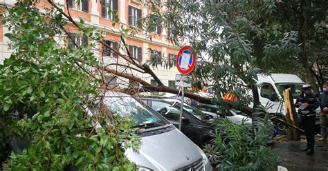 Maltempo A Roma Un Albero Cade Sulle Auto Parcheggiate A Trastevere