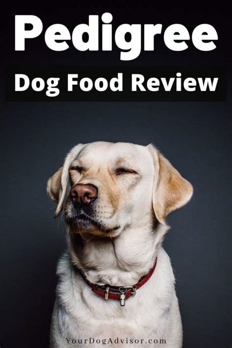 Pedigree Dog Food Review | Your Dog Advisor