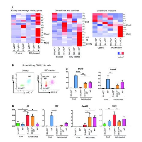 Gene Expression Features Of Monocytes Monocyte Like Cells And Mf In