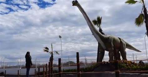 A Partir De Cuándo Se Podrá Visitar Chimalpark El Nuevo Parque De Dinosaurios Infobae