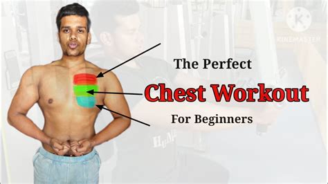 The Perfect Chest Workout For Beginners Science Based Workout Weightblink