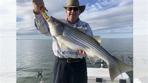 Santee Cooper Winter Striper Fishing Report Carolina Sportsman