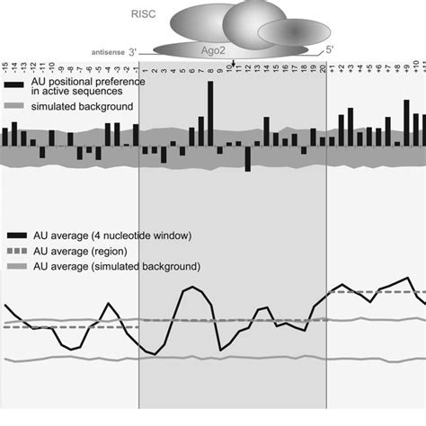 Algorithms Derived From Naked Sirna Do Not Have Predictive Power For