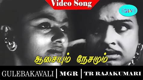 Gulebagavali Movie Song Aasaiyum Nesamum Video Song M G