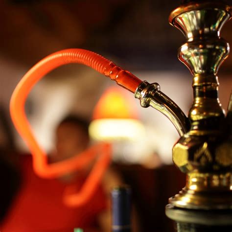 Shisha Smoking Not Much Safer Than Cigarette Smoking Due To Heavy Metals