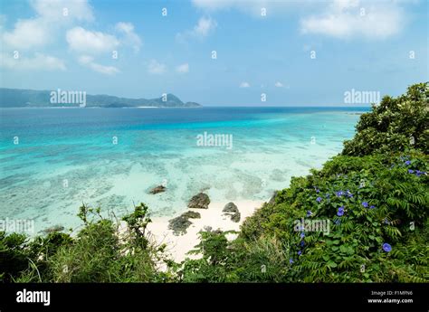 Beautiful Tropical Beach Paradise Of Amami Oshima In Southern Japan