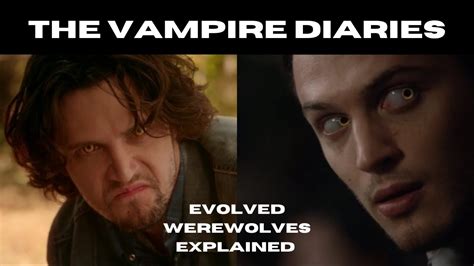 Evolved Werewolves Explained Creature Of The Vampire Diaries The