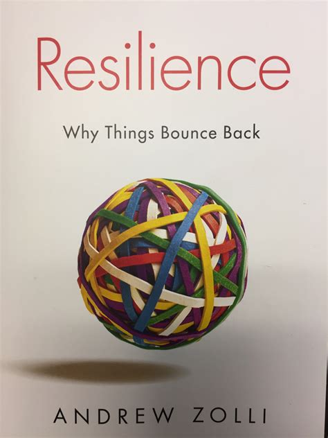 Resilience Bounce Back