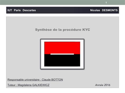 PDF Synthèse de la procédure KYC doyoubuzz Paiement