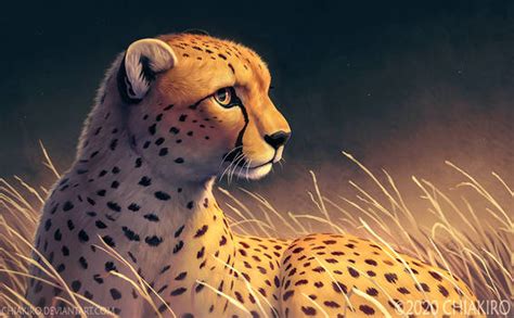 Explore the Best Cheetah Art | DeviantArt