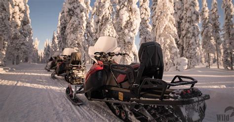 Rovaniemi Safari En Moto De Nieve Al Desierto Con Almuerzo GetYourGuide