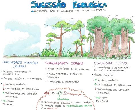 Pin de Selma Simões em geografia enem Sucessão ecológica Mapa Mapas