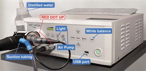 Setting Up Your Endoscopy System Video VetOvation