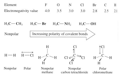 Why are most organic molecules non-polar? | Socratic