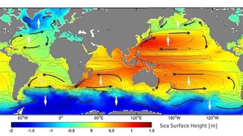 Ocean Gyres Moving Towards The Poles